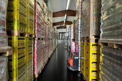 SG-IMPORT-EXPORT-BILDER15